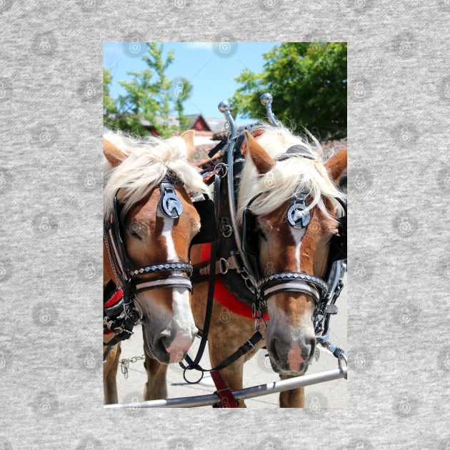 Working Horses at Solvang California by ButterflyInTheAttic